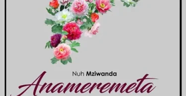 DOWNLOAD MP3 Nuh Mziwanda – Anameremeta