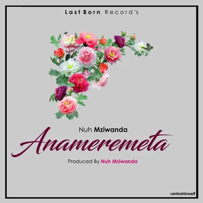 DOWNLOAD MP3 Nuh Mziwanda – Anameremeta