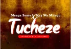 DOWNLOAD MP3 Msaga Sumu X Nay Wa Mitego – Tucheze