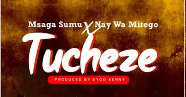 DOWNLOAD MP3 Msaga Sumu X Nay Wa Mitego – Tucheze