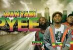 AUDIO WANYABI – Pyee Remix Ft. Rayvanny MP3 DOWNLOAD