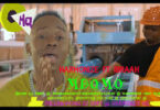 VIDEO Harmonize – Mdomo Ft Ibraah MP4 DOWNLOAD