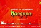 VIDEO LYRICS VIDEO: Marioo Ft. Harmonize – Naogopa MP4 DOWNLOAD