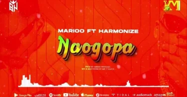 VIDEO LYRICS VIDEO: Marioo Ft. Harmonize – Naogopa MP4 DOWNLOAD