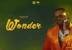 AUDIO Diamond Platnumz – Wonder MP3 DOWNLOAD