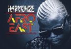 MP3 DOWNLOAD Harmonize Ft Lady Jay Dee – Wife