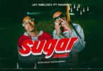 VIDEO DOWNLOAD Jay Melody Ft Marioo – Sugar Remix