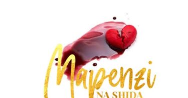 AUDIO Mr Nana – Mapenzi Na Shida MP3 DOWNLOAD