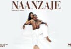 AUDIO Diamond Platnumz – Naanzaje MP3 DOWNLOAD