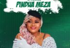 AUDIO Shilole – Pindua Meza MP3 DOWNLOAD