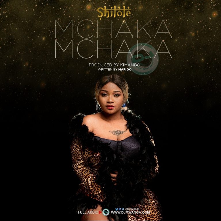 AUDIO Shilole – Mchaka Mchaka MP3 DOWNLOAD