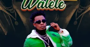 AUDIO Chege – Walete MP3 DOWNLOAD