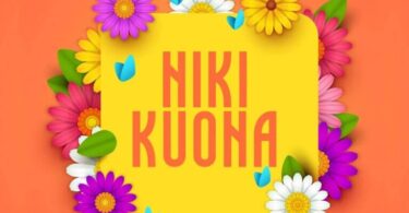 AUDIO Nay Wa Mitego Ft Alikiba – Nikikuona MP3 DOWNLOAD