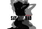 AUDIO Skales Ft. 1da Banton – Say You Bad (Remix) MP3 DOWNLOAD