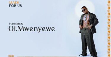 AUDIO Harmonize – Mwenyewe MP3 DOWNLOAD