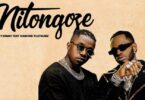 AUDIO Rayvanny – Nitongoze Ft Diamond Platnumz MP3 DOWNLOAD