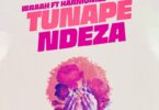 AUDIO Ibraah – Tunapendeza Ft Harmonize MP3 DOWNLOAD