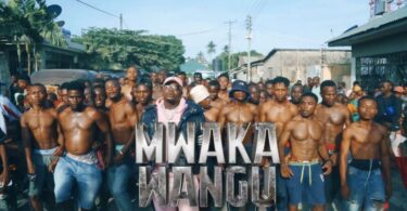 VIDEO Harmonize – Mwaka Wangu MP4 DOWNLOAD