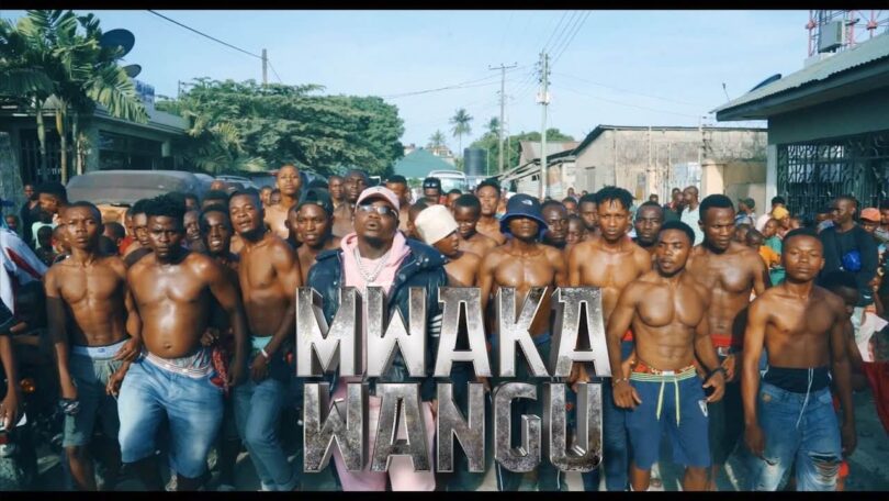 VIDEO Harmonize – Mwaka Wangu MP4 DOWNLOAD