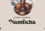 AUDIO Dj Joozey Ft. Harmonize – Namficha MP3 DOWNLOAD