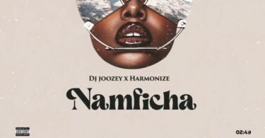 AUDIO Dj Joozey Ft. Harmonize – Namficha MP3 DOWNLOAD