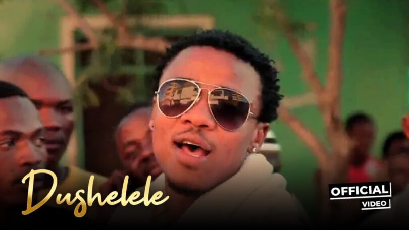 VIDEO Alikiba – Dushelele MP4 DOWNLOAD