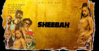 AUDIO Did I Die Remix ft Sheebah X Vampino X Feffe Bussi by Hatim And Dokey MP3 DOWNLOAD