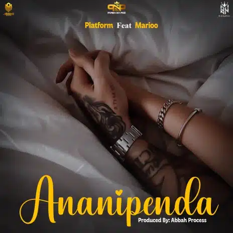 AUDIO Platform – Ananipenda Ft Marioo MP3 DOWNLOAD