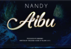 AUDIO Nandy – Aibu MP3 DOWNLOAD