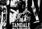 Sholo Mwamba – Tandale Panther EP Album