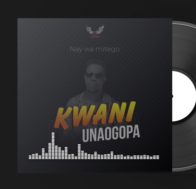 AUDIO Nay Wa Mitego – Kwani Unaogopa MP3 DOWNLOAD