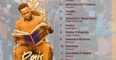 Nay Wa Mitego – Raisi Wa Kitaa FULL ALBUM MP3 DOWNLOAD