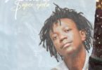 Young Killer Msodoki – Msodoki Super Nyota FULL ALBUM MP3 DOWNLOAD