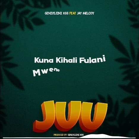 AUDIO Geniusjini X66 – Juu Ft Jay Melody MP3 DOWNLOAD