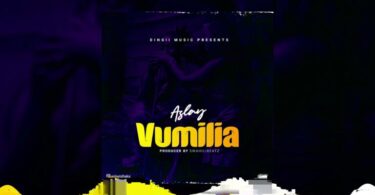 AUDIO Aslay – Vumilia MP3 DOWNLOAD