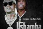 AUDIO Harmonize – Ushamba Remix Ft Naira Marley MP3 DOWNLOAD