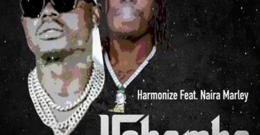 AUDIO Harmonize – Ushamba Remix Ft Naira Marley MP3 DOWNLOAD