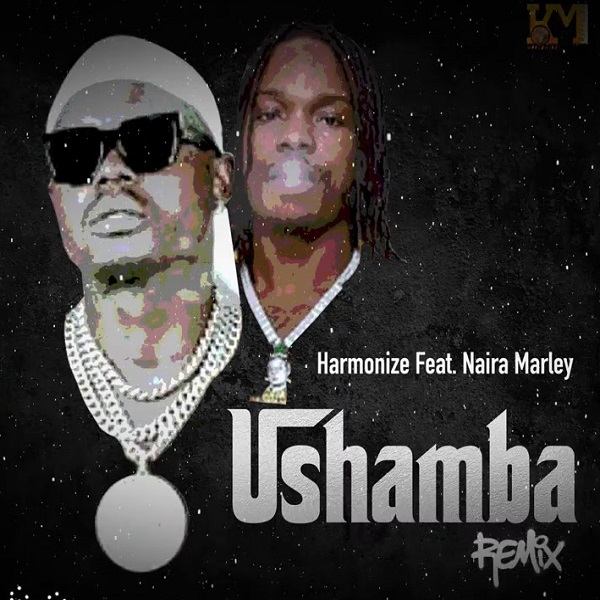 AUDIO Harmonize – Ushamba Remix Ft Naira Marley MP3 DOWNLOAD