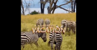 VIDEO Rayvanny – Vacation MP4 DOWNLOAD