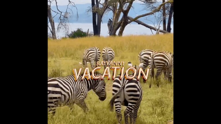 VIDEO Rayvanny – Vacation MP4 DOWNLOAD