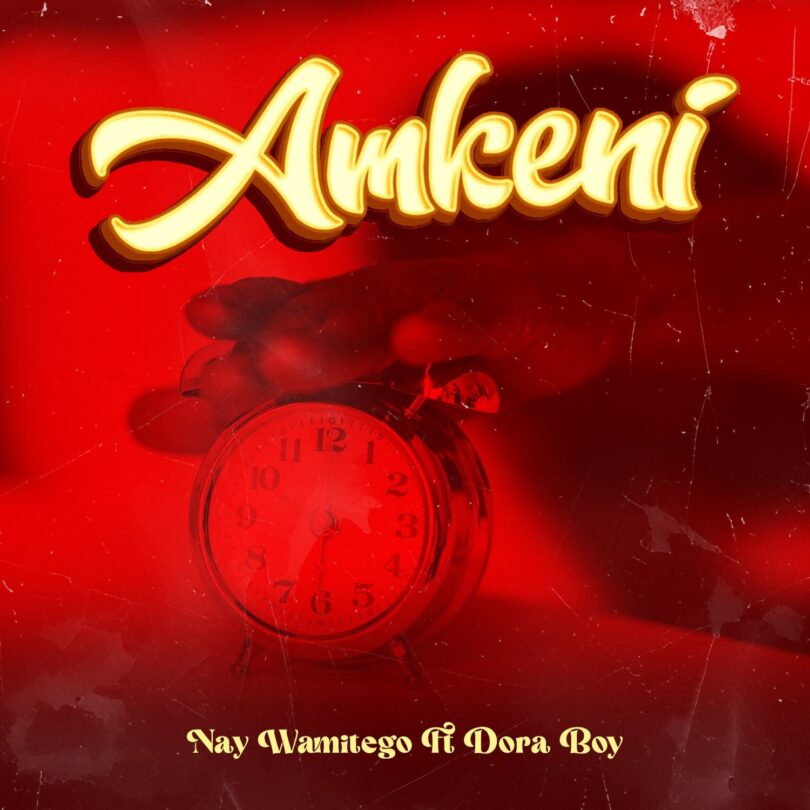 AUDIO Nay Wa Mitego Ft Dora Boy – Amkeni MP3 DOWNLOAD