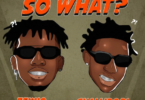 AUDIO Tekno Ft Shallipopi – So What? DOWNLOAD