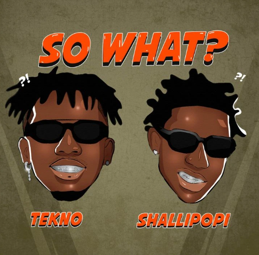 AUDIO Tekno Ft Shallipopi – So What? DOWNLOAD