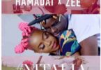 AUDIO Hamadai Ft Zee – Nitalia DOWNLOAD