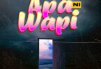 AUDIO Kiluza Fanani – Apa Ni Wapi DOWNLOAD