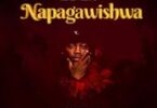 AUDIO Dully Skyes - Napagawishwa DOWNLOAD