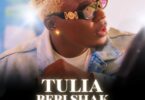 AUDIO Willy Paul – Tulia DOWNLOAD