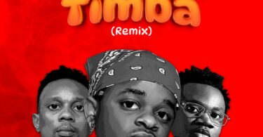 AUDIO Whozu Ft Mbosso & Billnass – Ameyatimba Remix DOWNLOAD