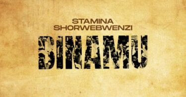 AUDIO Stamina Ft MwanaFA – Binamu Remix DOWNLOAD