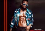 AUDIO Diamond Platnumz – A Boy from Tandale ALBUM